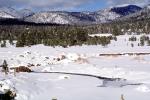 Sierra-Nevada Mountains, Ice, Cold, Frozen, Icy, Winter, Woodlands, El Dorado National Forest, Amador County, NPNV12P12_19