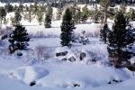 Sierra-Nevada Mountains, Ice, Cold, Frozen, Icy, Winter, El Dorado National Forest, Amador County, along California Highway 88, NPNV12P13_05