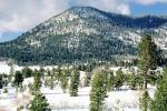 Sierra-Nevada Mountains, Ice, Cold, Frozen, Icy, Winter, El Dorado National Forest, Amador County, along California Highway 88, NPNV12P13_07