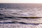 Waves, Pacific Ocean, NPNV13P02_17