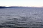 the North Shore, Lake Tahoe, water