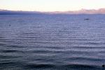 the North Shore, Lake Tahoe, water, NPNV13P03_19