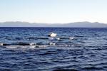 the North Shore, Lake Tahoe, water, NPNV13P04_15
