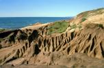 Erosion fractals, Pacific Ocean, Bodega Bay