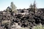 Lava Flows, Trees, shrub, Hills, NPNV13P09_08