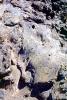 Rock, Lava Flows, NPNV13P10_14