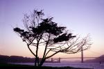 Golden Gate Bridge, NPNV13P13_03