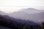Mount Tamalpais, NPNV13P13_15