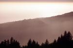 Mount Tamalpais, NPNV13P14_04