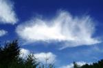 Cottonball Clouds, NPNV14P14_13