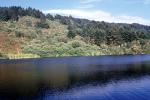 Bass Lake, Hills, woodland, water, thick vegetation, NPNV14P15_01