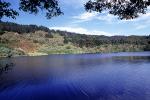Bass Lake, Hills, woodland, water, thick vegetation, NPNV14P15_02B