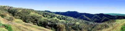 Hills, Woodlands, Forest, Trees, rolling hills, Mount Diablo State Park, Panorama
