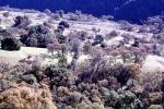 Mount Diablo, Contra Costa County, Hills, Hillside
