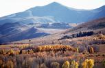 Mountain, Hills, Trees, Forest, Woodlands, a few kilometers north of Mono Lake, autumn, water, Equanimity, NPNV15P10_08