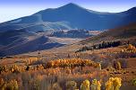 Mountain, Hills, Forest, Woodlands, Aspen Trees, a few kilometers north of Mono Lake, autumn