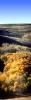 Aspen Trees, a few kilometers north of Mono Lake, Panorama, autumn, hills, Equanimity, NPNV15P10_18B
