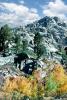 Granite Rocks, Aspen Trees, Sierra-Nevada Mountains