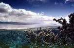 Mono Lake, water