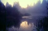Bullfrog Pond, wetlands, fog, mist, misty, NPNV15P15_15