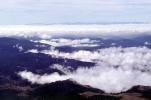 Coastal Fog, clouds, hills, NPNV15P15_19