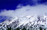 Mount Shasta, NPNV16P01_18