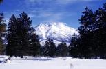 Mount Shasta, NPNV16P02_01
