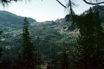 Donner Pass, Sierra-Nevada Mountains, NPNV16P06_12