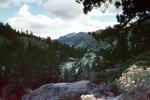 Sierra-Nevada Mountains, NPNV16P08_14