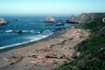 Driftwood, Beach, Sand, Sandy, Sonoma County, Pacific Ocean, Coastline, Coast, NPNV16P11_15
