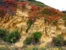 Point Loma Coastline, San Diego, Erosion, Cliff fractals, Cabrillo National Monument, NPSD01_024