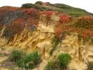 Point Loma Coastline, San Diego, Erosion, Cliffs, Cabrillo National Monument, NPSD01_026