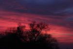 Sunset, Clouds, NPSD01_172