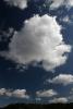 cumulus, puffs, clouds, NPSD01_189