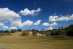 Paso Robles Wine Country, Adelaida Valley, Cumulus Clouds, Panorama, puffs