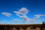Palmdale Clouds, Desert Shrub