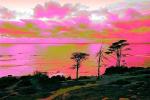 Sunset Cliffs, Point Loma, psyscape, NPSPCD0653_079B