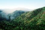 Hills, Fog, Pacific Palisades, NPSV01P04_03