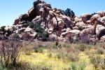 Rock Pile, hill, desert flower, stone, boulder, NPSV01P05_15