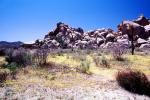 Rock Pile, hill, desert flower, stone, boulder, NPSV01P05_16