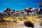 Rock Pile, hill, desert flower, stone, boulder, NPSV01P05_17.2568