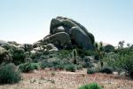 Rock Garden, Stone, Boulders, Joshua Tree National Monument, NPSV01P07_19