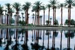 lake, reflecting palm trees, water, Palm Springs, NPSV01P13_03