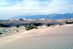 Sand Dunes, mountains, Death Valley National Park, NPSV01P14_01