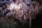 stalagtites, Mitchell Caverns, Stalagmite, Stalactite, Cave, underground, cavern, fairy tale land, NPSV02P07_15