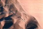 Lizard Tracks, Sand Dunes, texture, sandy, NPSV02P12_02.2568