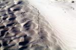 Lizard Tracks, Sand Dunes, texture, sandy, NPSV02P12_03