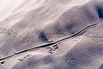 Lizard Tracks, Sand Dunes, texture, sandy, NPSV02P12_04