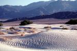Sand Dunes, texture, sandy, NPSV02P13_04