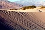 Sand Dunes, texture, sandy, NPSV02P13_05